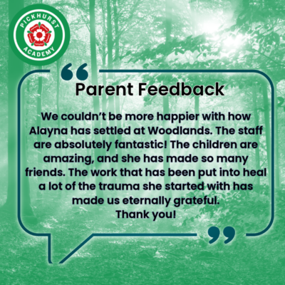 PCK Feedback-2