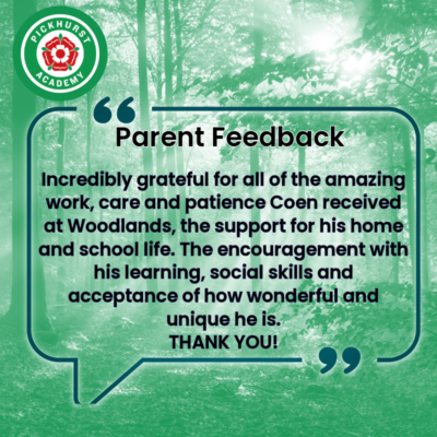 PCK Feedback-3